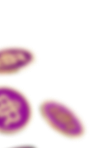 Coin01